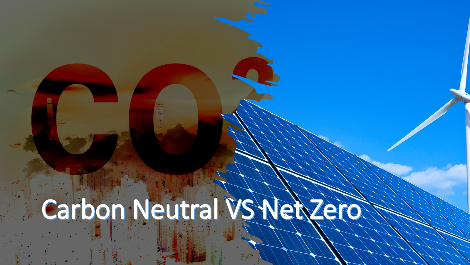 Carbon Neutral vs Net Zero: Differences You Need to Know